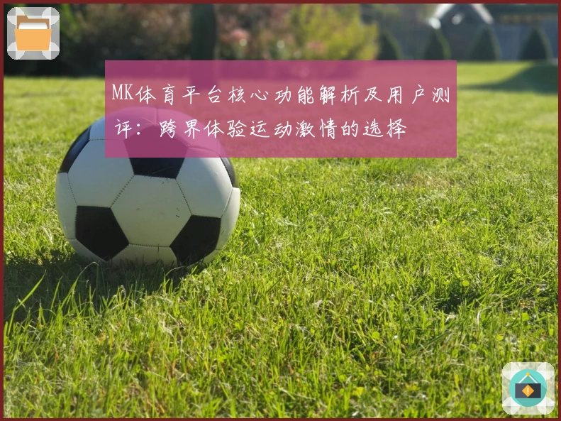 MK体育平台核心功能解析及用户测评：跨界体验运动激情的选择
