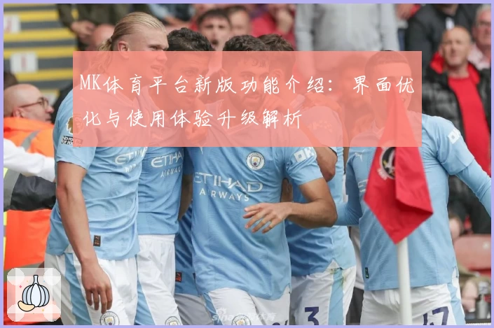 MK体育平台新版功能介绍：界面优化与使用体验升级解析