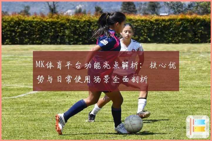 MK体育平台功能亮点解析：核心优势与日常使用场景全面剖析